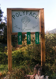 Polyface Sign