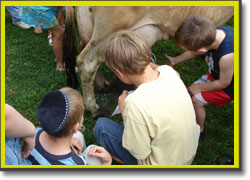Children try milking