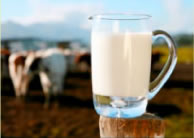 Litigation Raw Milk