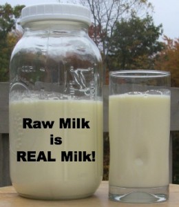 KellyKitchKop--raw-milk-real-milk-260x300