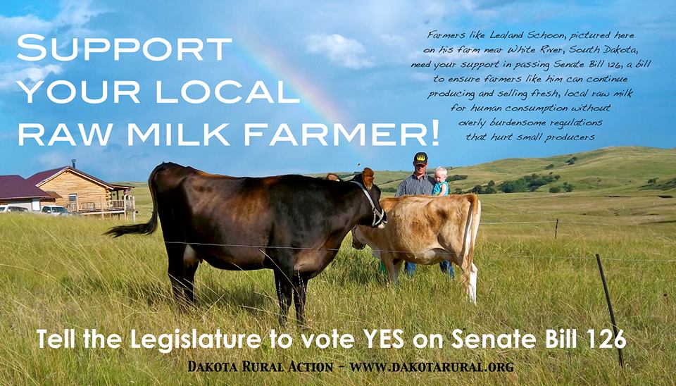 Farmers like Lealand Schoon, pictured here on his farm near White River, South Dakota, need your support in passing Senate Bill 126, to ensure farmers like him can continue producing and selling fresh, local raw milk for human consumption without overly burdensome regulations that hurt small producers