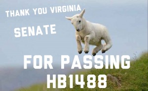 VA-HB1488-Senate--IMG_2102